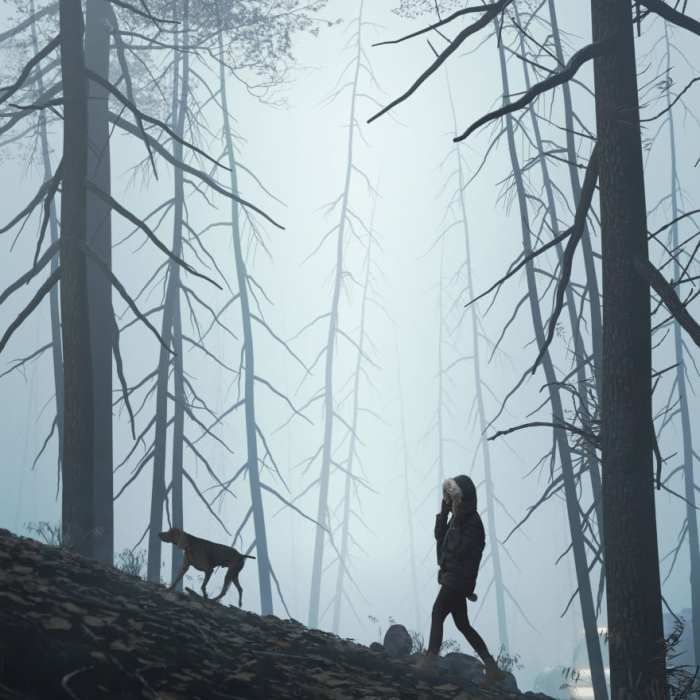 faqs-renders-3d-fotorrealistas-jva-renders Renders 3D fotorrealistas JVA Renders - Architecture Visualization